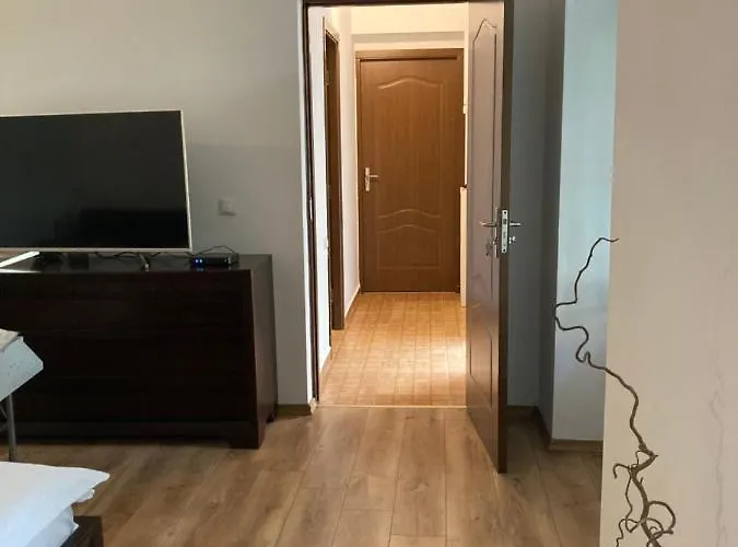 Contessa Ii Cluj-Napoca